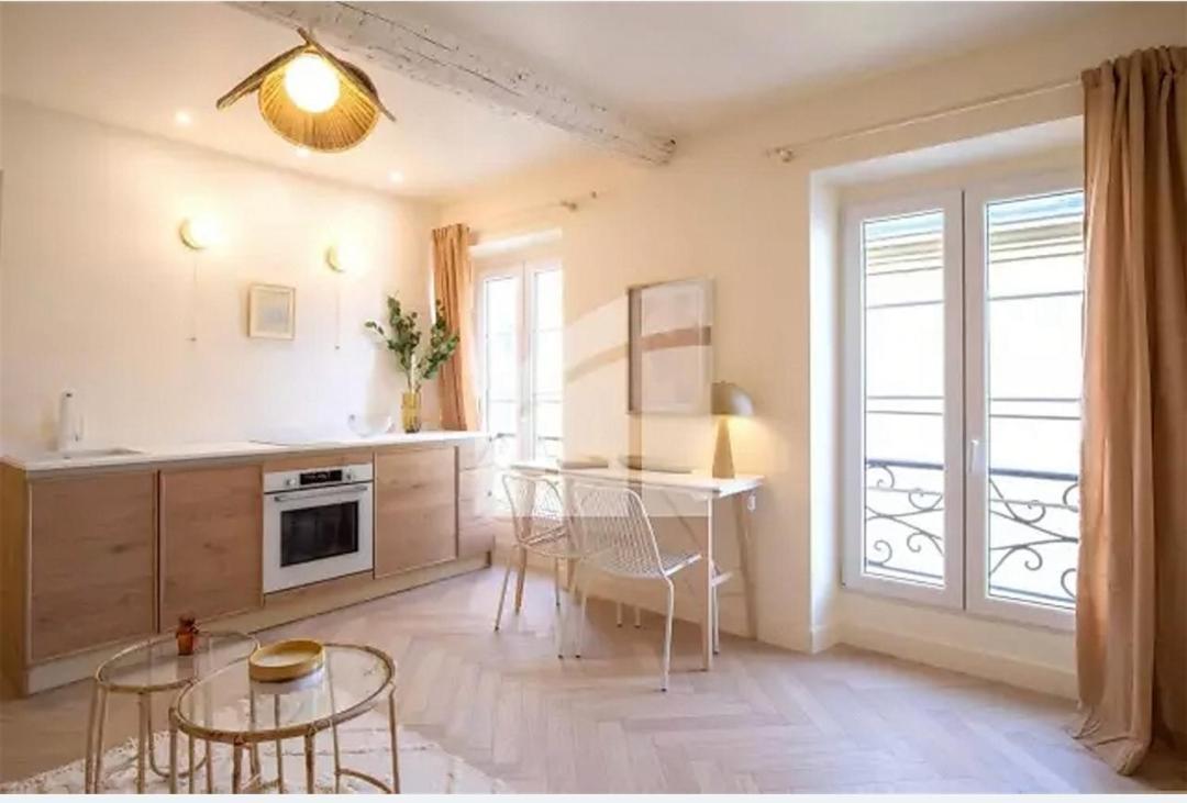 2 Pieces Vieux Vue Coulee Verte Appartement Nice